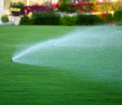 irrigation